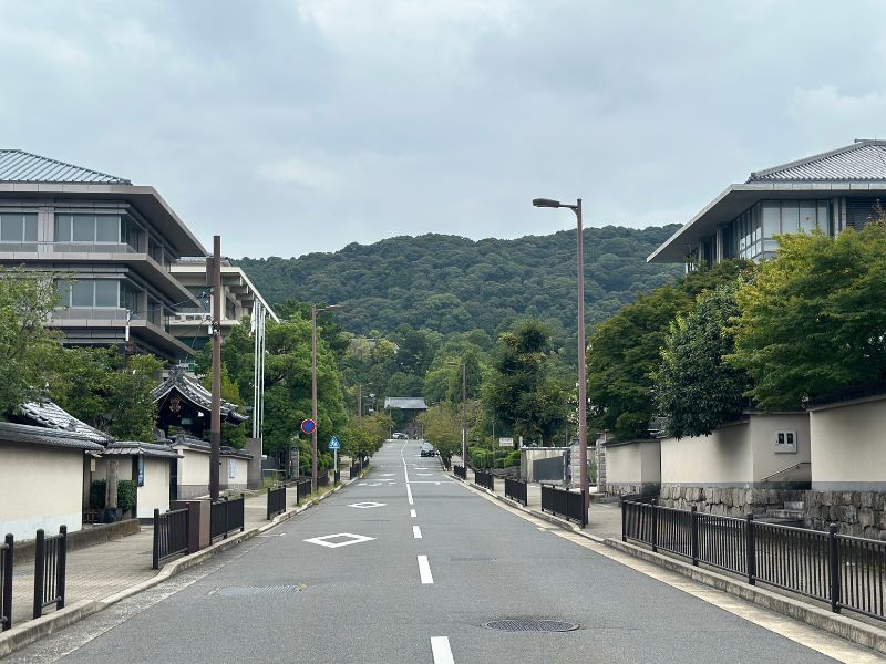 知恩院｜京都・東山・弥栄エリア｜一本橋