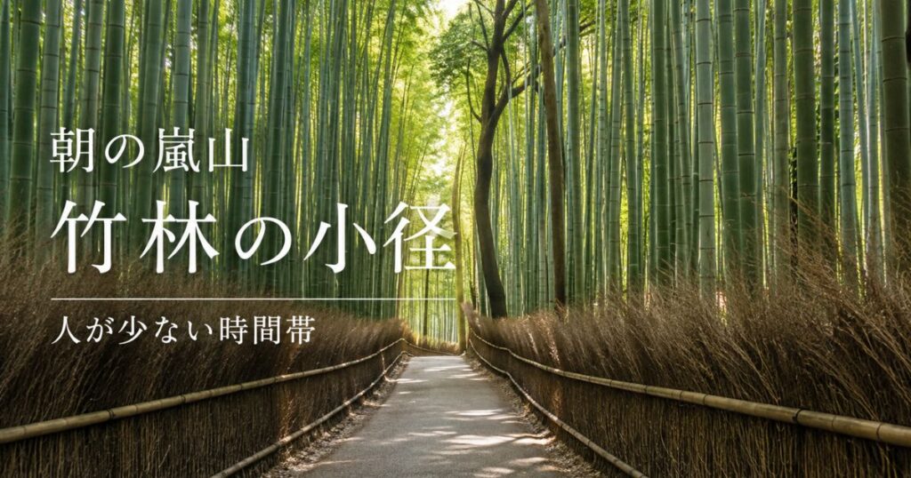 朝の嵐山の竹林の小径|人が少ない時間帯