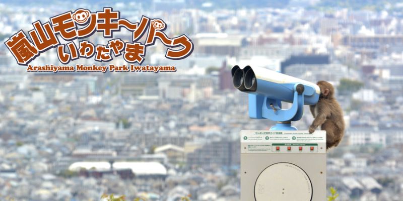 嵐山モンキーパーク