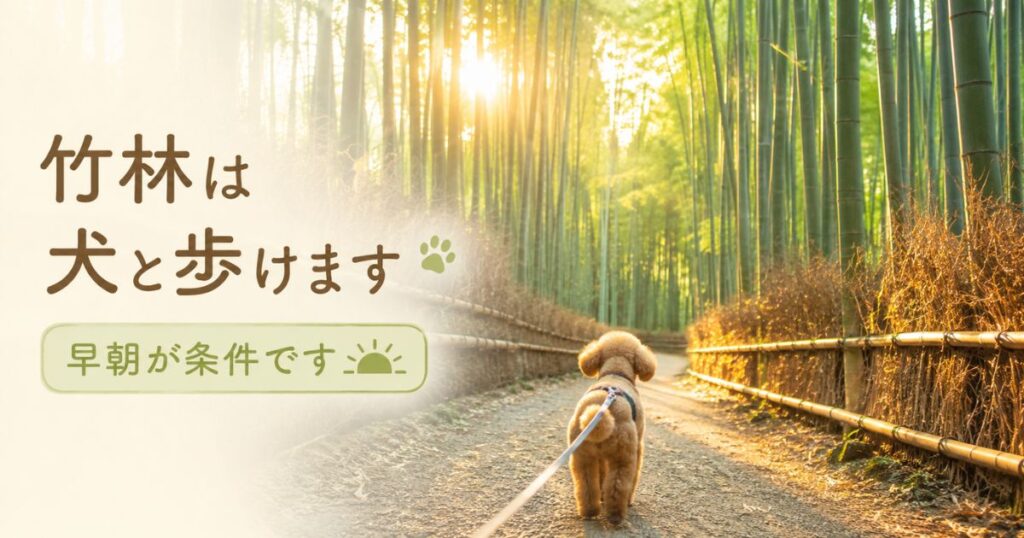 人のいない早朝の竹林の小径をリードをつけた犬と歩く様子